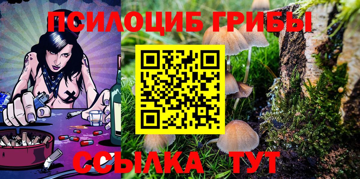 Галлюциногенные грибы GOLDEN TEACHER Северобайкальск